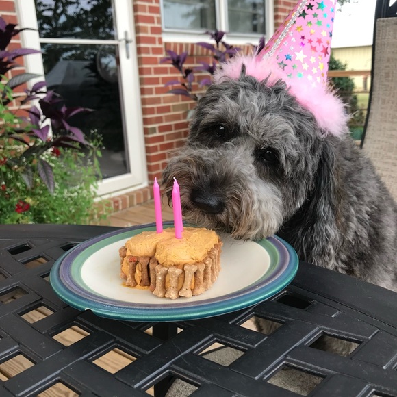 Meet your Posher, Terria - Picture 12 of 17